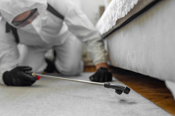 Professional Termite Control technician working in Holden, MO